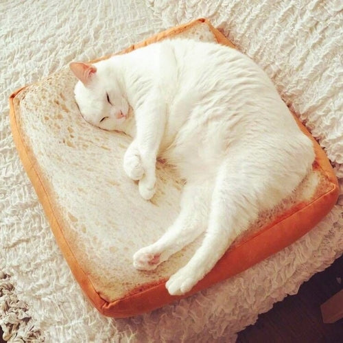 Toast Kattdyna – Mjuk & Mysig Viloplats för Katter