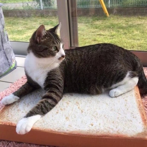 Toast Kattdyna – Mjuk & Mysig Viloplats för Katter